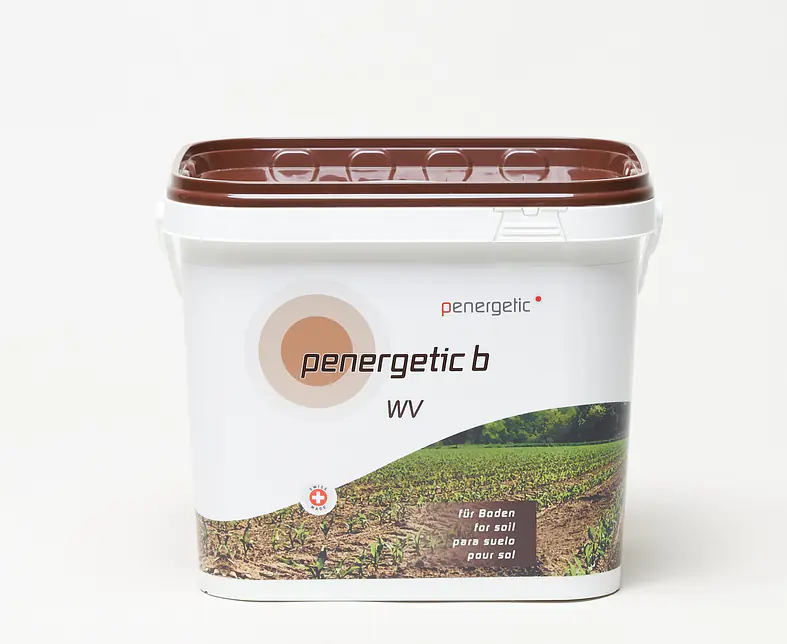 Penergetic b wv.jpg