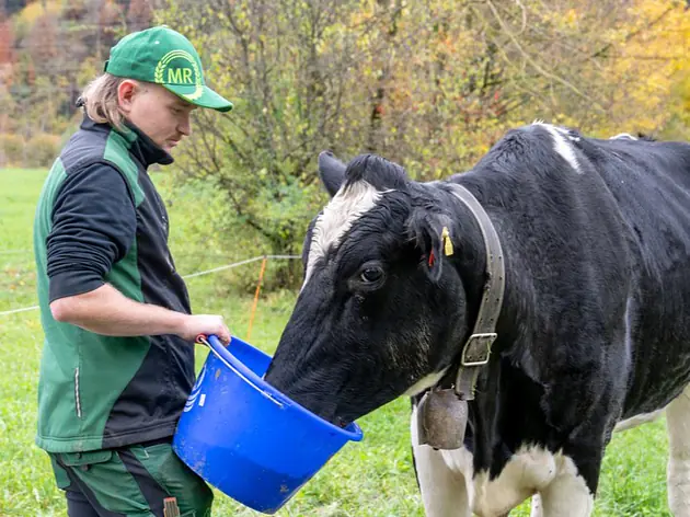 Betriebshilfe im Notfall