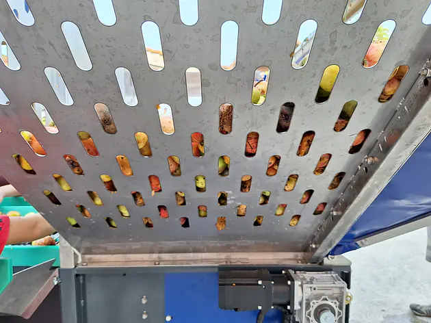 Akku Obstverleseband