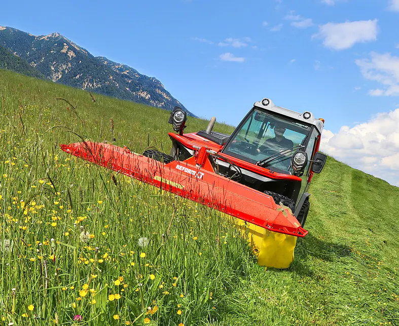 IMG_6114_Dach-web (1).jpg