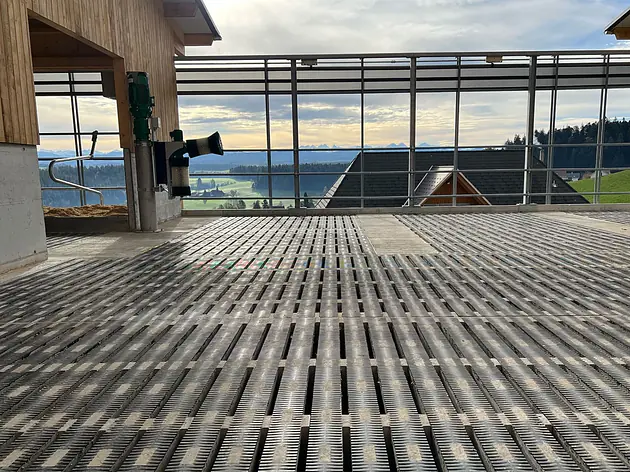 Meadowfloor® Plus - Die Lauffläche der Zukunft