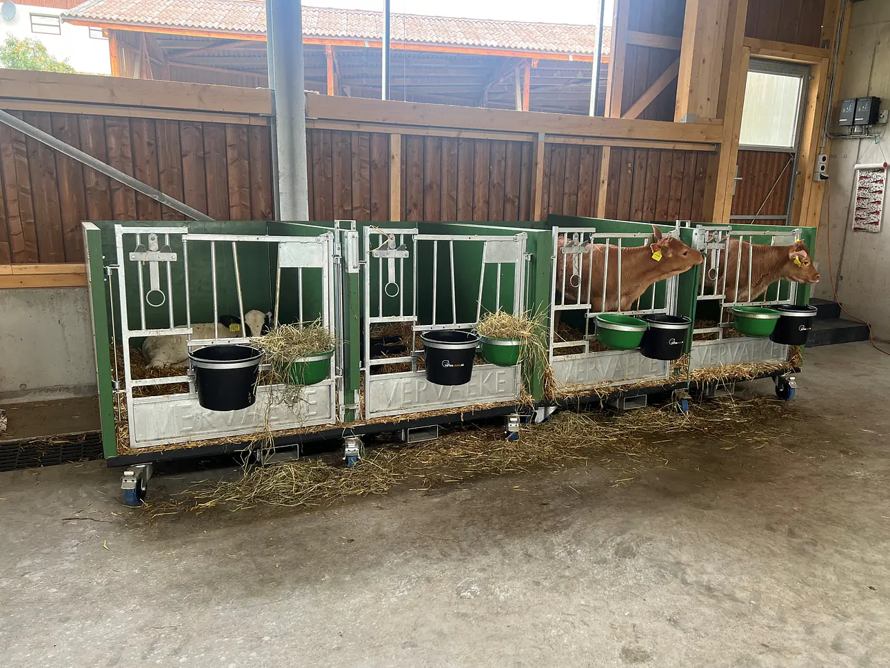 Kälberhaltung für die Zukunft