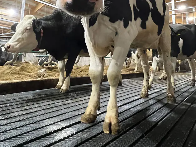 Magellan® - aktiver Laufgangbelag