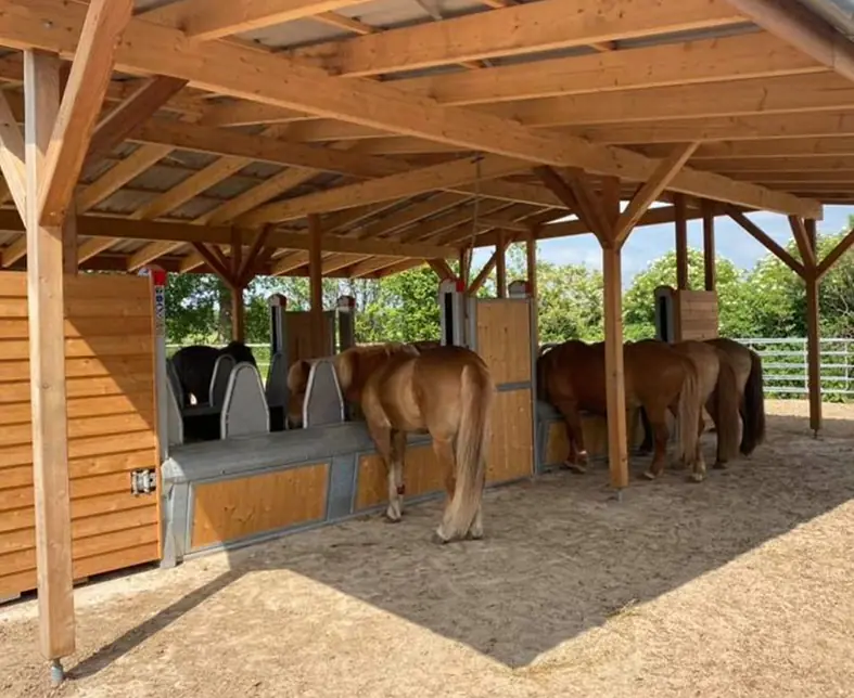 103982625_2744712445657758_682223942258857527_n (Medium).jpg