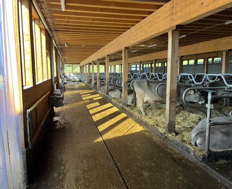 Laufgang IMG_0299.jpg