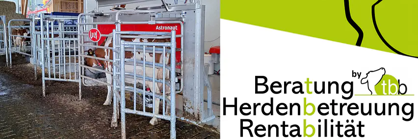 Erfolgreich auf Melkroboter umstellen