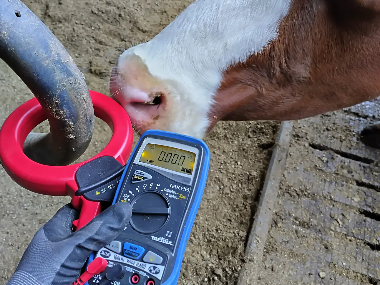 Kriechstrom- Diagnostik