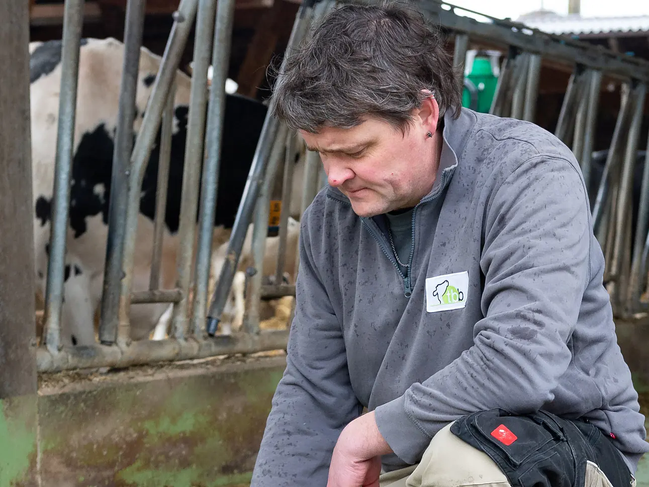 unabhängige Fütterungsberatung