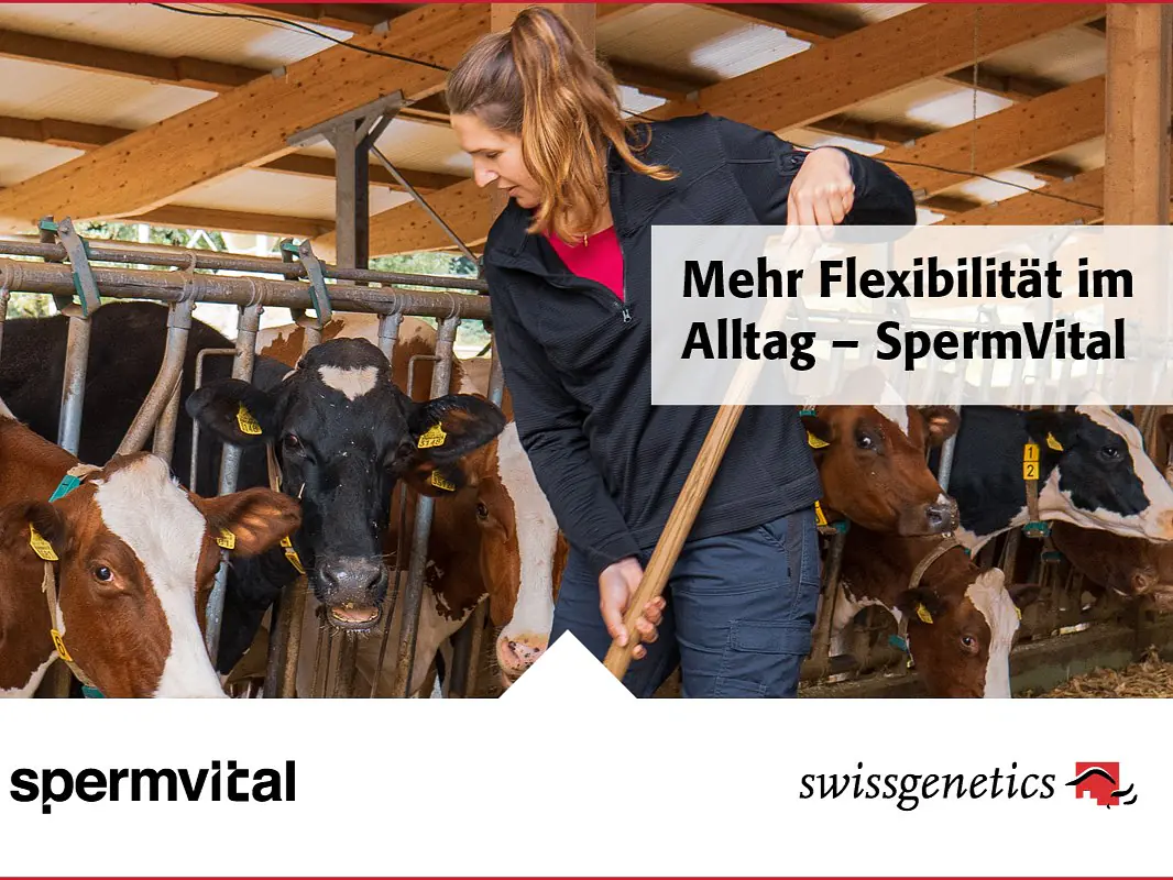 SpermVital verdoppelt den Besamungszeitraum