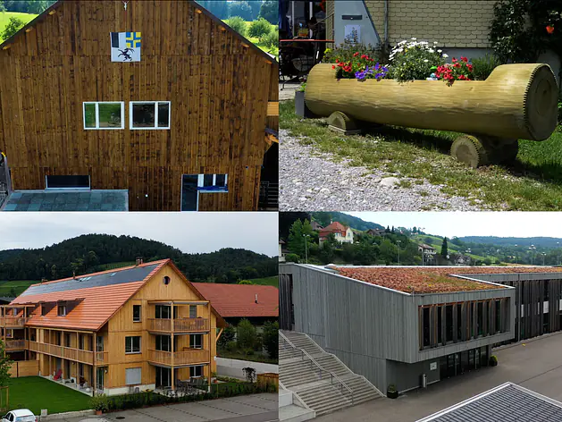 Holzschutz Druckimprägnierung