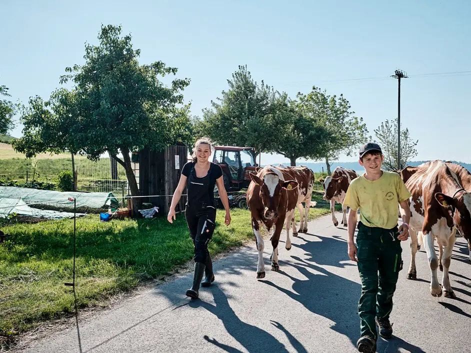 Sichere Zukunft für Landwirtschaft und Rebbau
