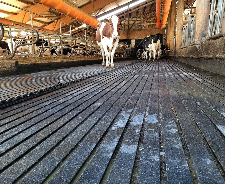 PHOTO-2025-11-07-09-27-55 (2).jpg