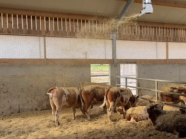 Einstreuen nach Sektor, Uhrzeit und Bedarf im Stall