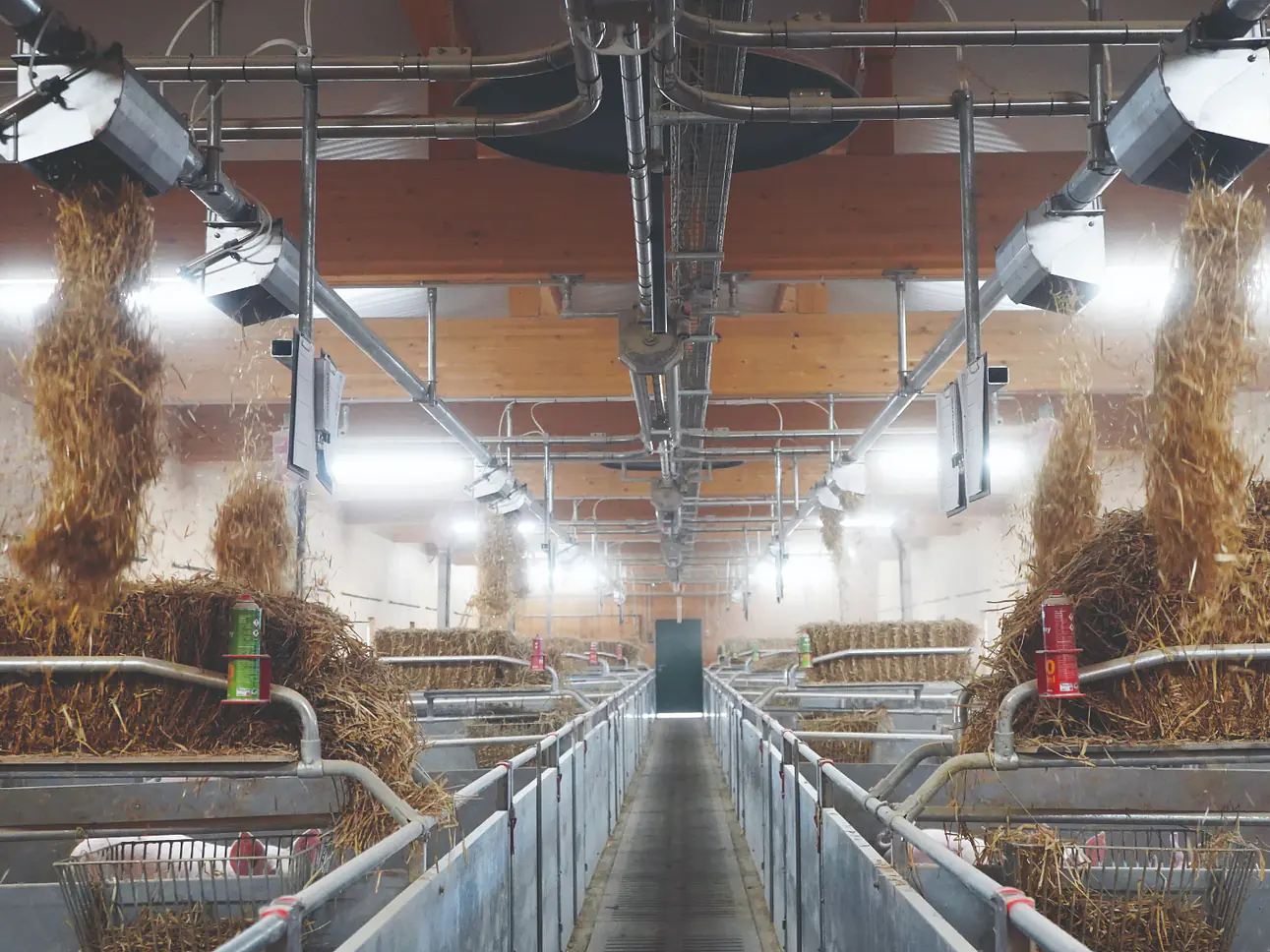 Automatisches Einstreusystem Strohmatic