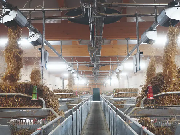 Automatisches Einstreusystem Strohmatic