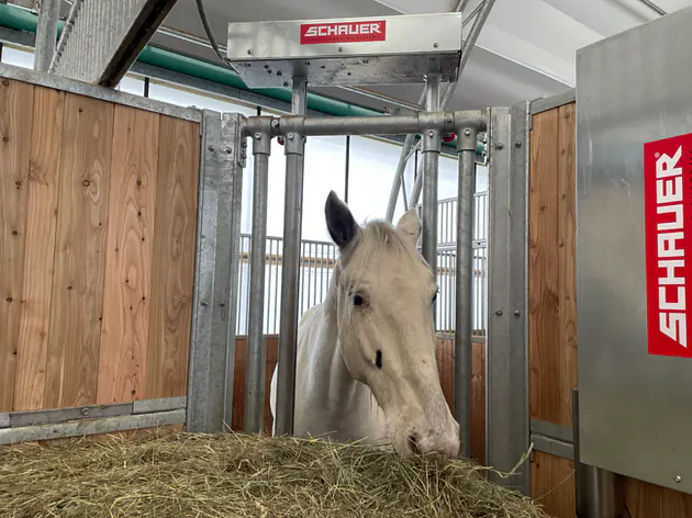 HeuTimer Mini. Zeitgesteuertes Fütterungssystem
