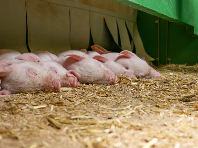 ATX Wärme-Leitfunktion