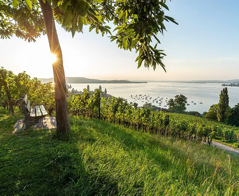 Bank mit Sicht auf Mannenbach.jpg