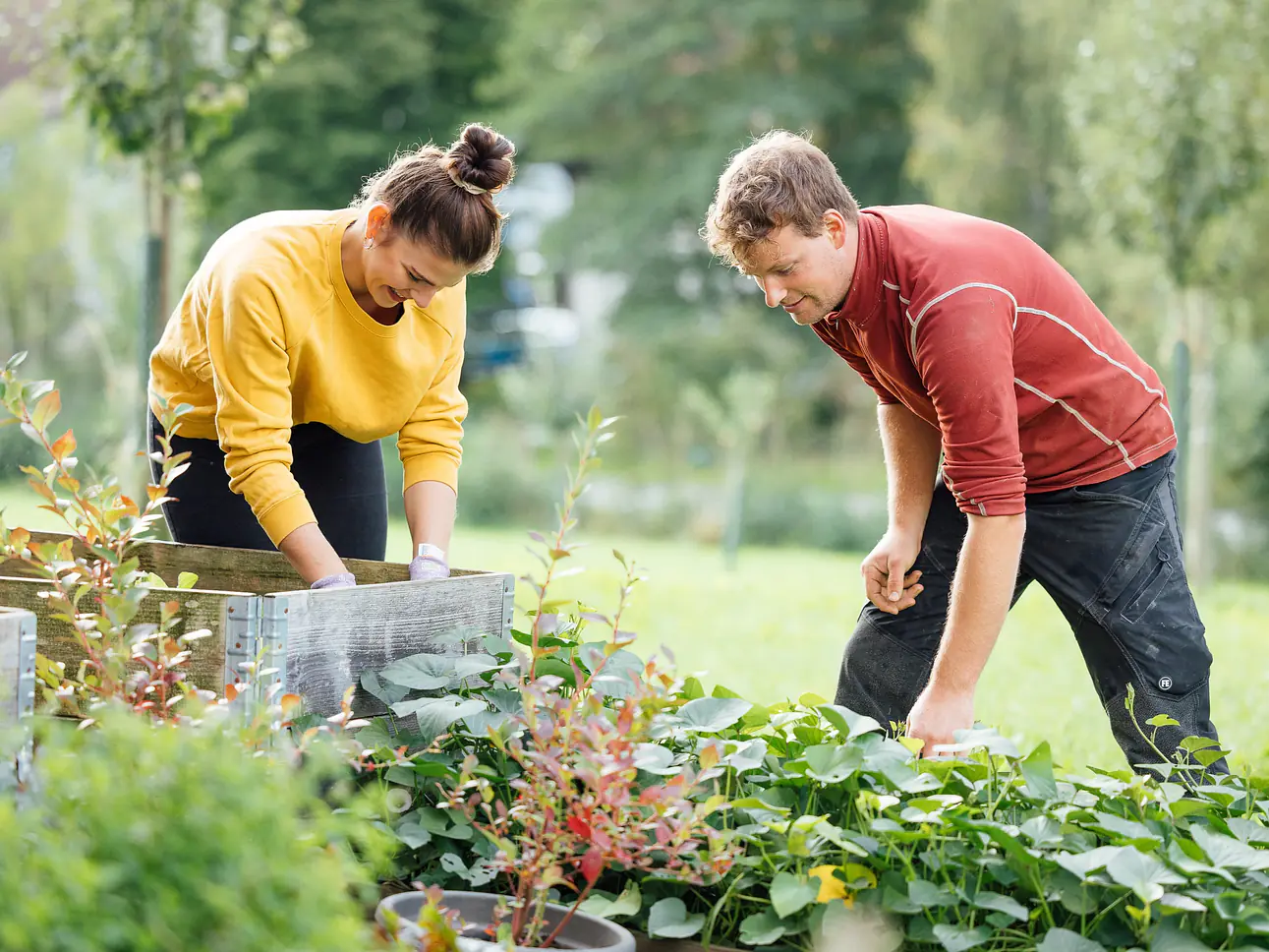 Kurse und Veranstaltungen