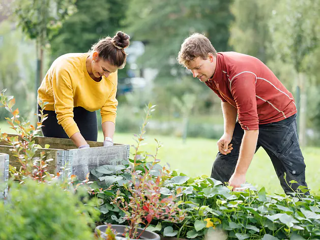 Kurse und Veranstaltungen