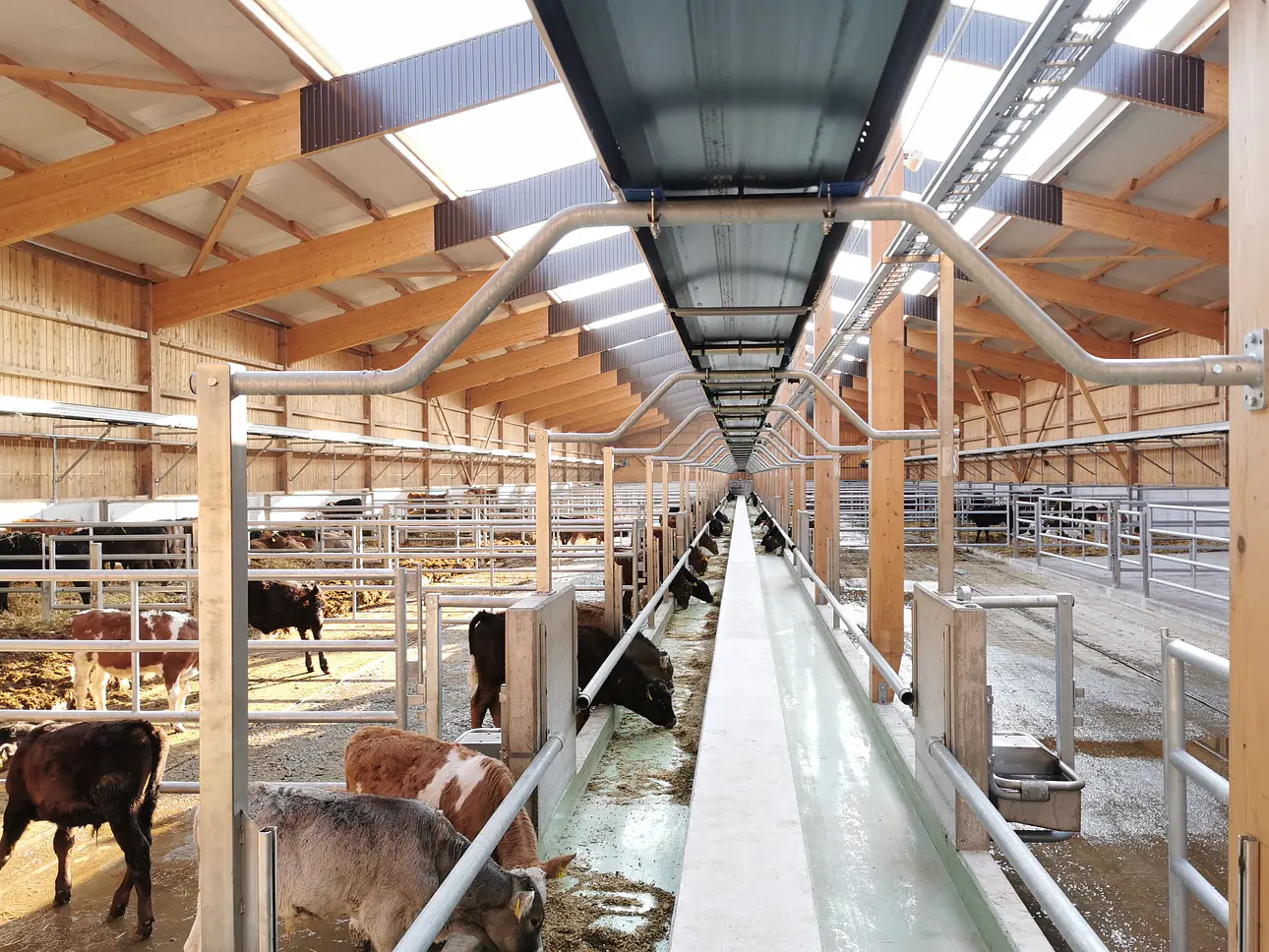 Pellon Fütterungssystem