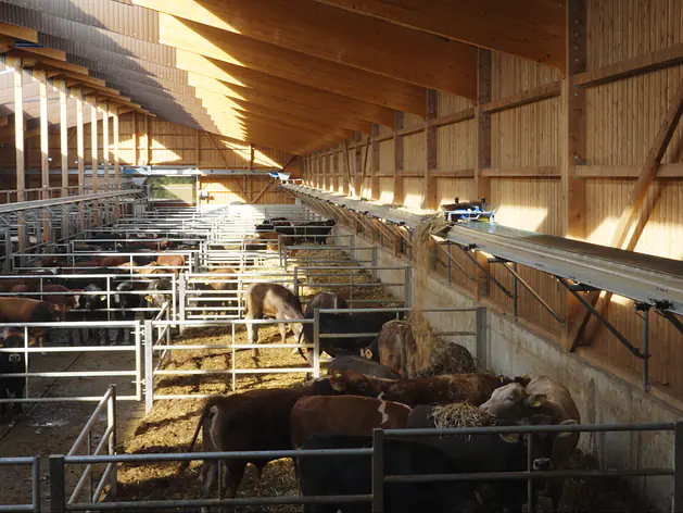 Pellon Fütterungssystem