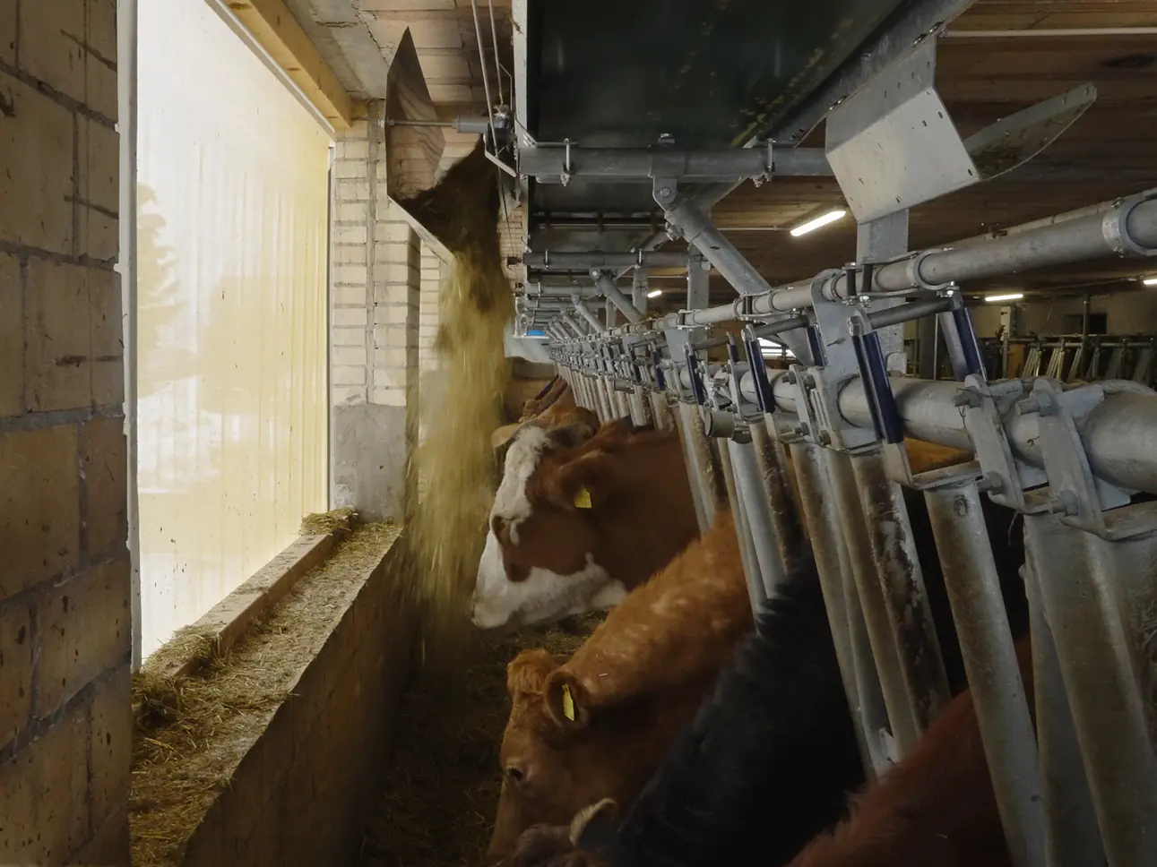 Pellon Fütterungssystem