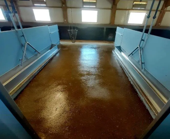 Versiegelung Bereich Schweine07.jpg