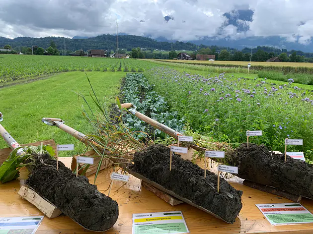 Kurse und Veranstaltungen 