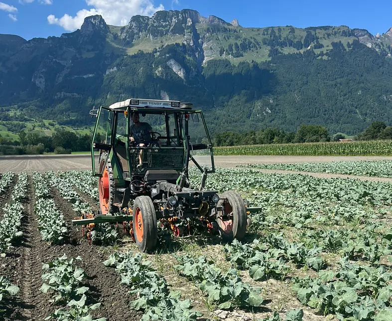 Mechanische Unkrautbekämpfung.jpg