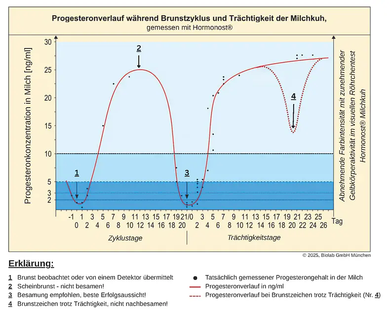 Grafik Progesteronverlauf A413.11.2025.png