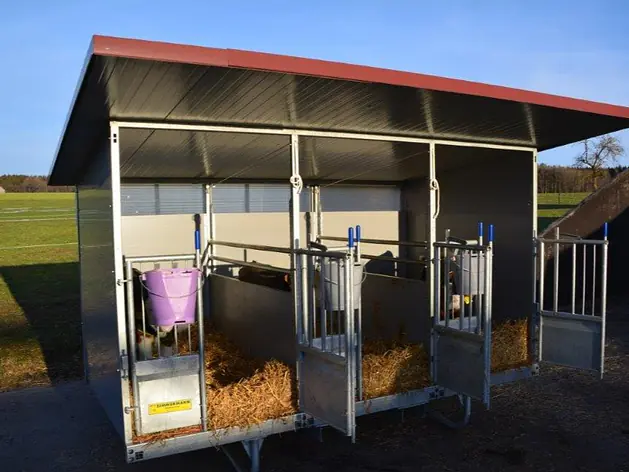 Die ZIMMERMANN Kälbergalerie