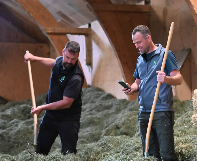 DSC_6066 - bearbeitet.jpg