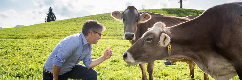 Stressreduzierter Umgang im Mutterkuhstall – Die Sprache der Signale verste