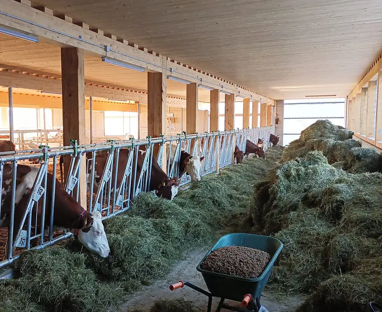 Anbau Boxenlaufstall 3.JPG