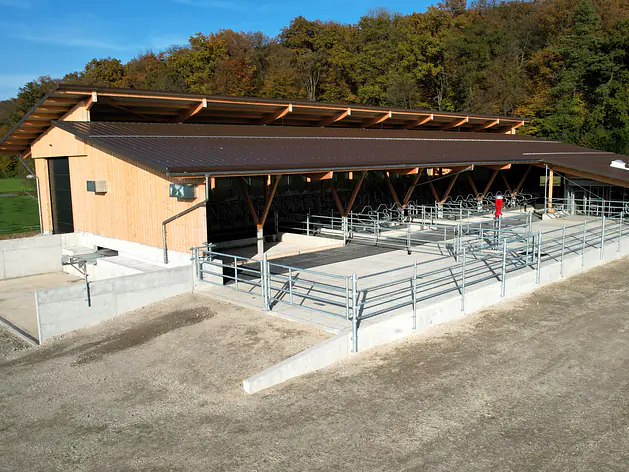 Neubau Boxenlaufstall