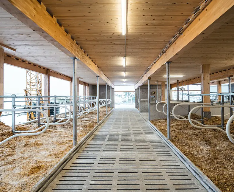 Anbau Boxenlaufstall 5.jpg