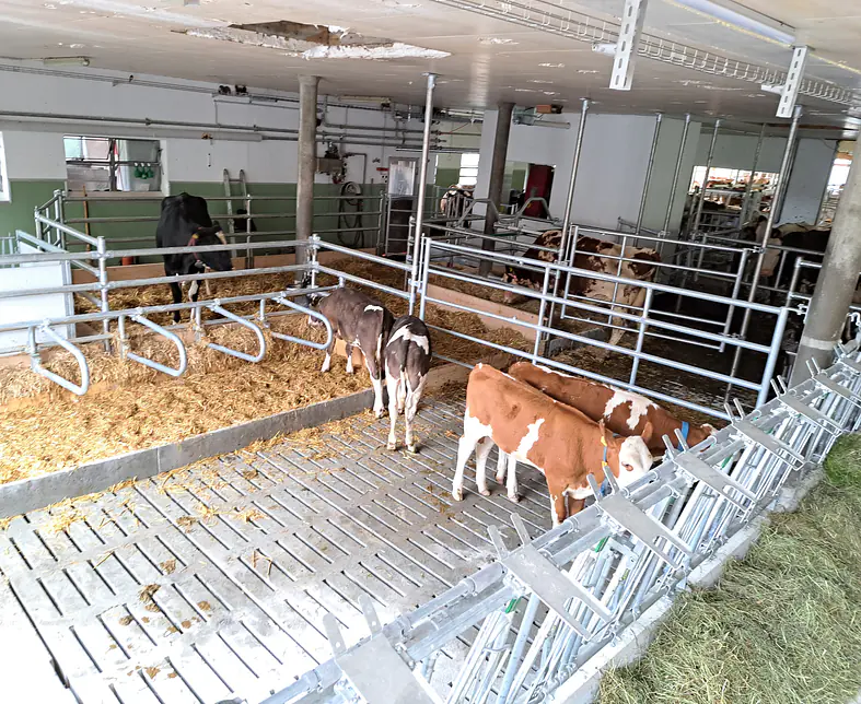 Anbau Boxenlaufstall 6.jpg