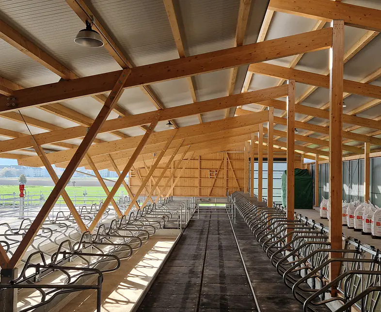 Neubau Boxenlaufstall 3.jpg