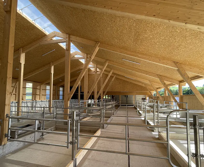 Neubau Boxenlaufstall mit Heuraum 4.JPG