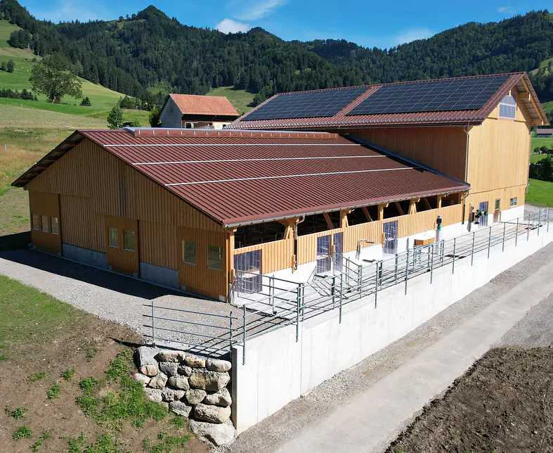 Neubau Boxenlaufstall mit Heuraum 2.JPG