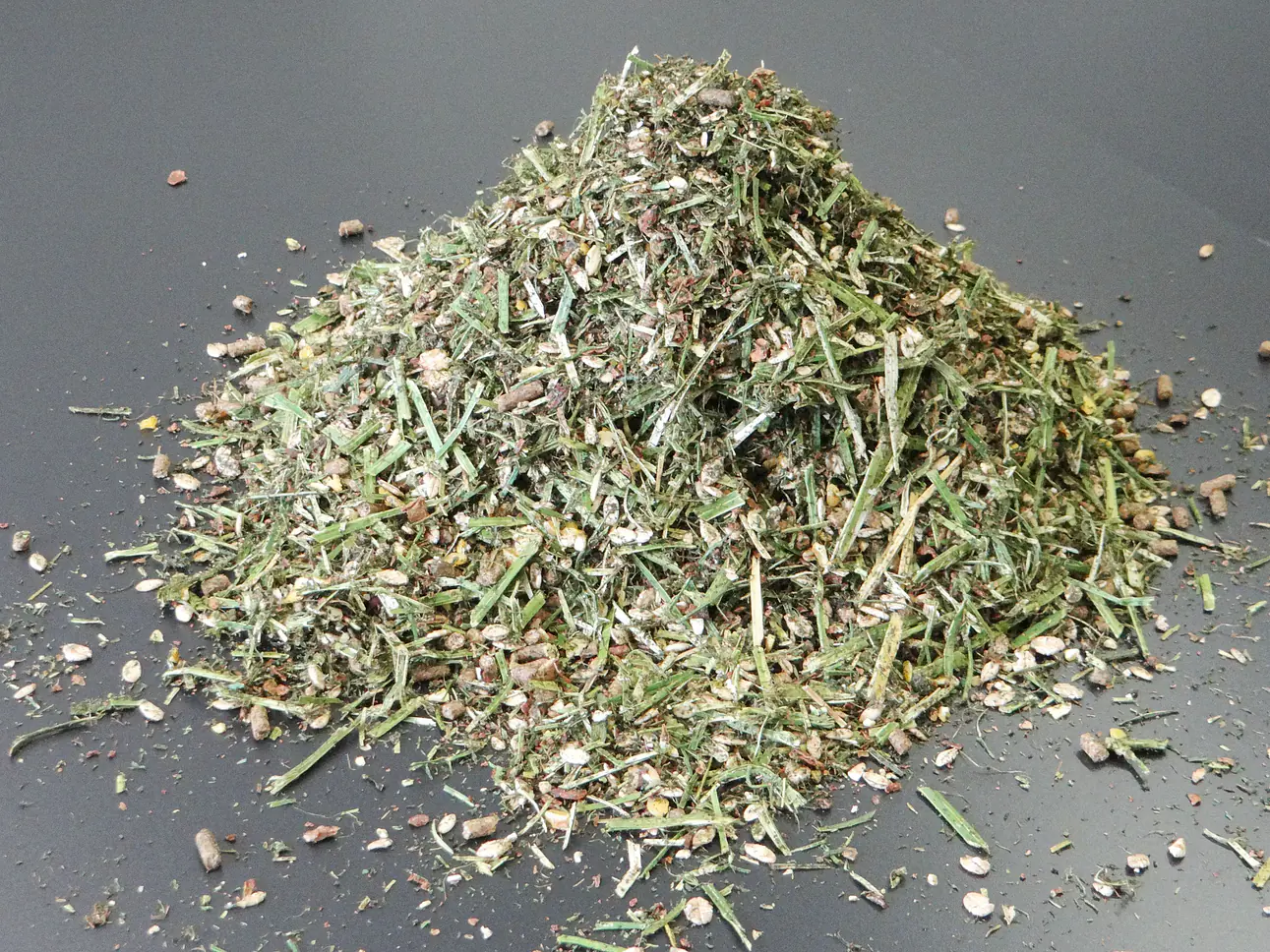 Flurina Kälber Power – für die Milchkuh von Morgen