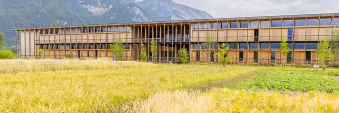 Quiz zur vollen Stunde