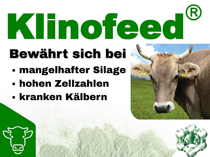 Klinofeed