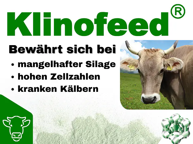 Klinofeed