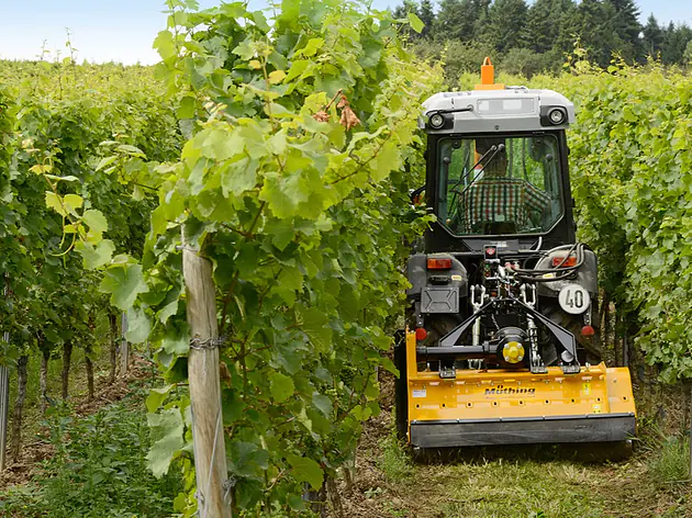 Müthing Mulcher für Sonderkulturen