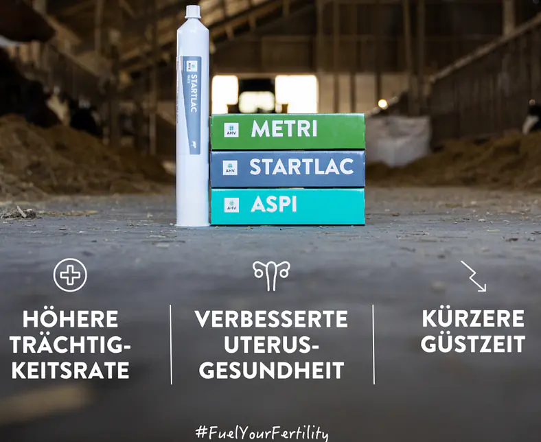 SLAM Visual - Social Post (1350x1080) 8.png