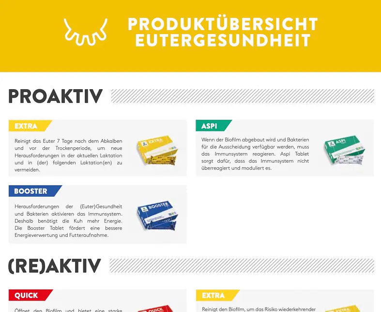 broschüre_Aug25 4_Extracted_1.jpeg