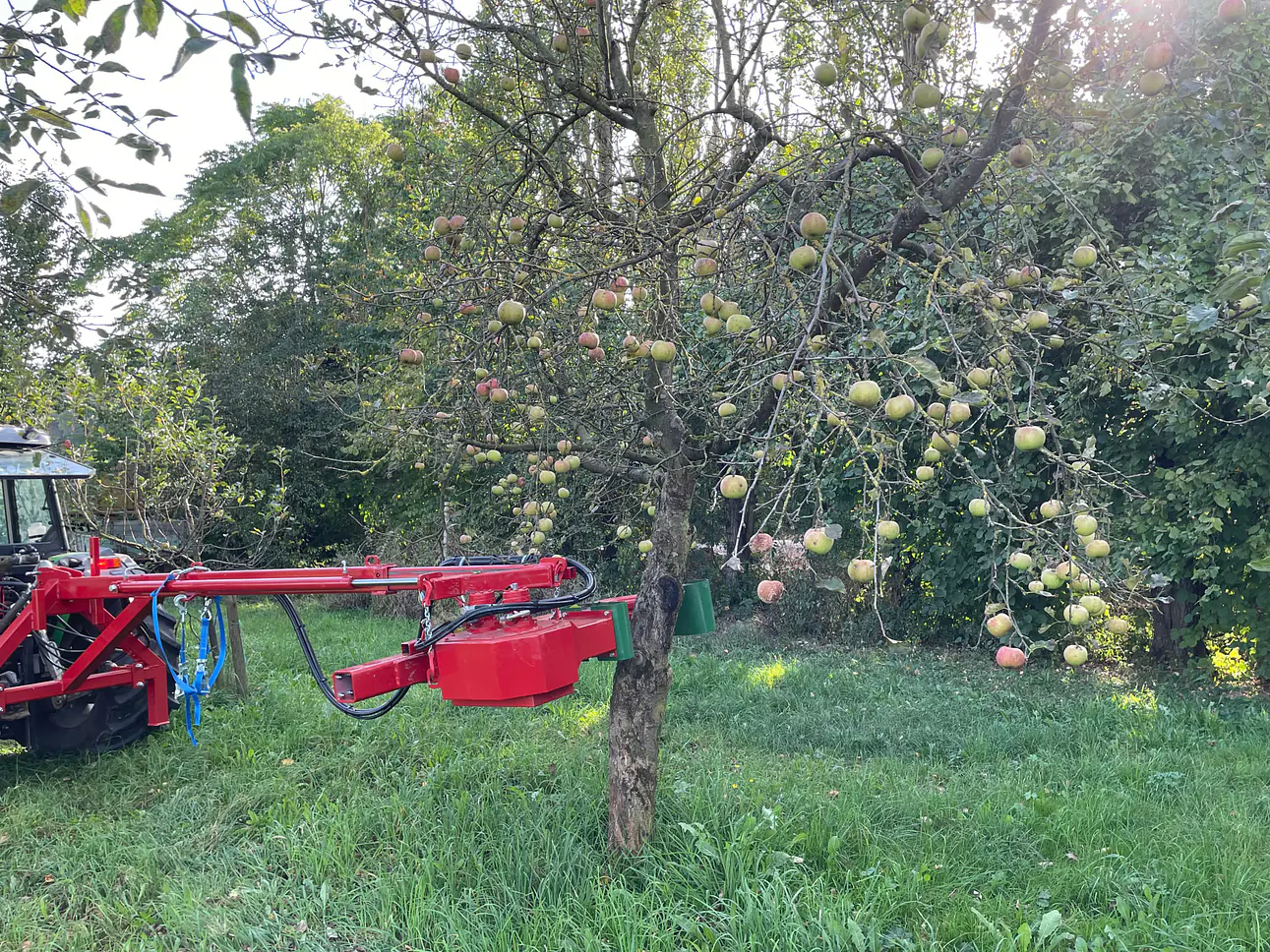 Obsternte mit Feucht-Obsttechnik