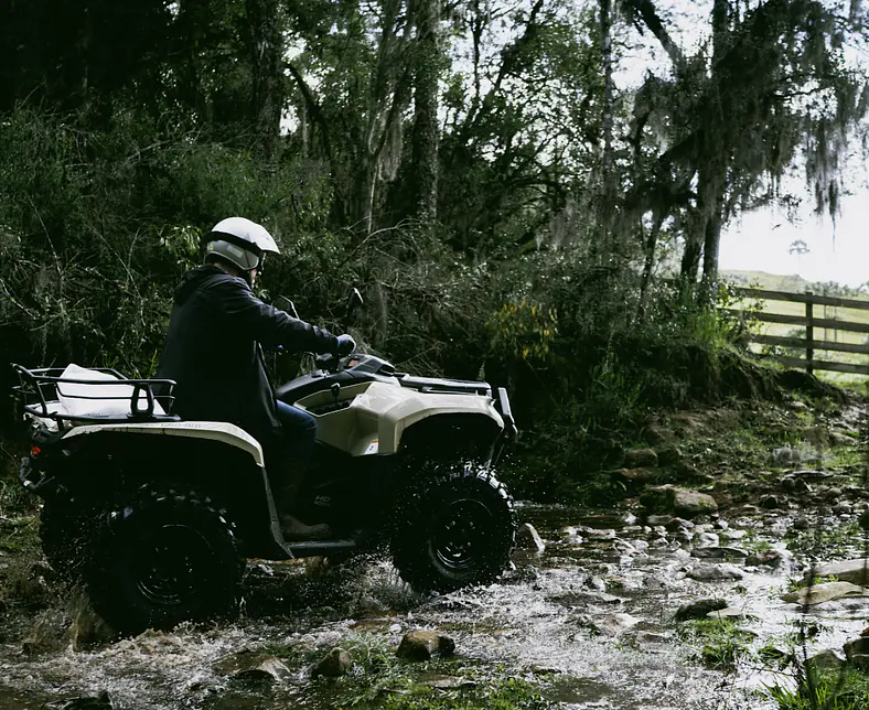 Screenshot 2026-02-03 092149.png